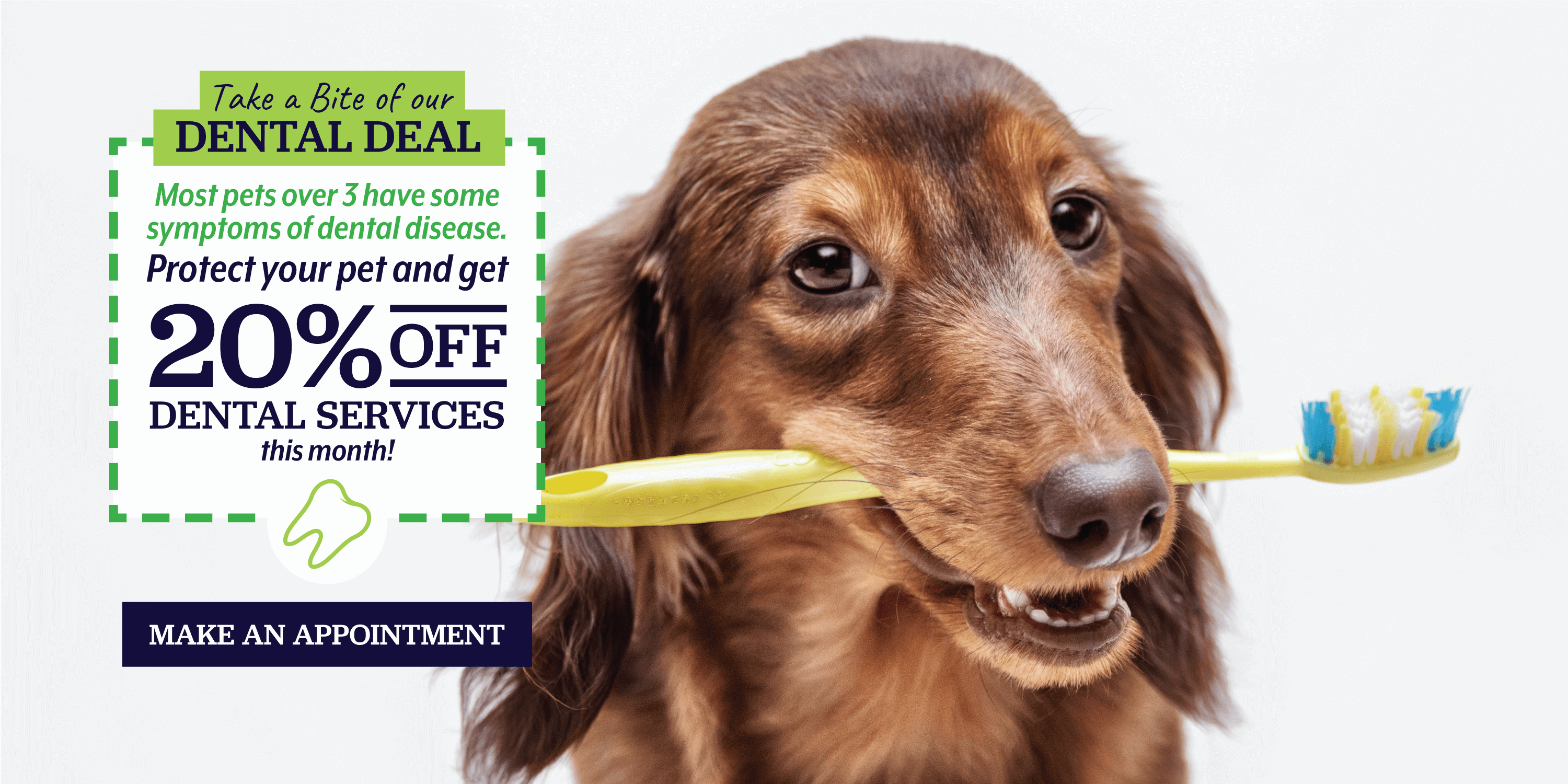 Dental Deal