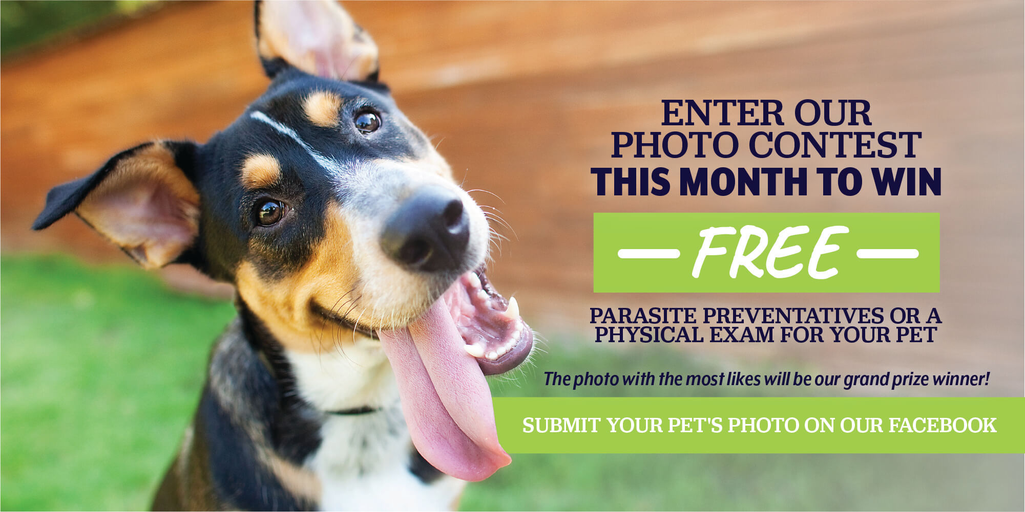 Enter Our Photo Contest