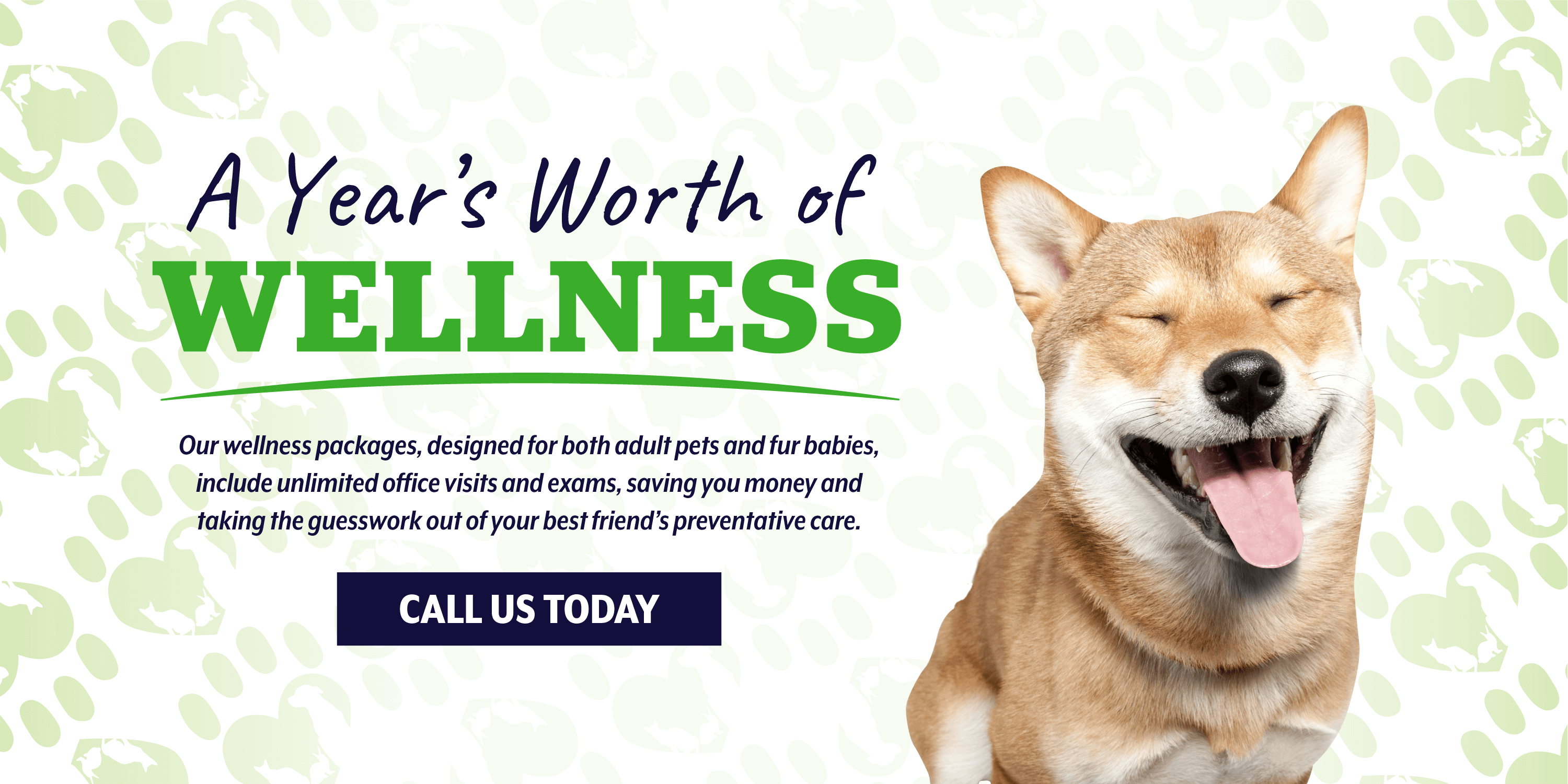 A Year's Worth of Wellness