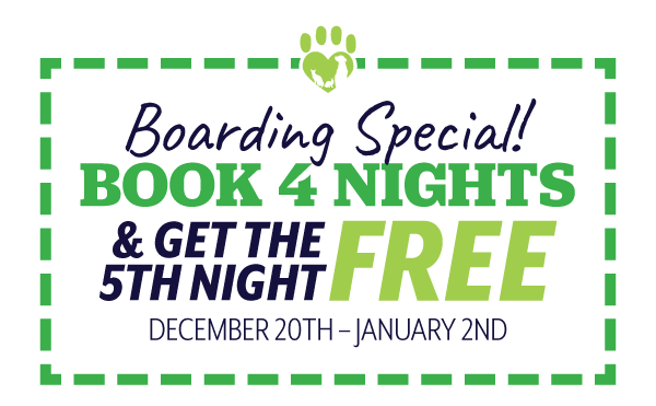 Boarding Coupon