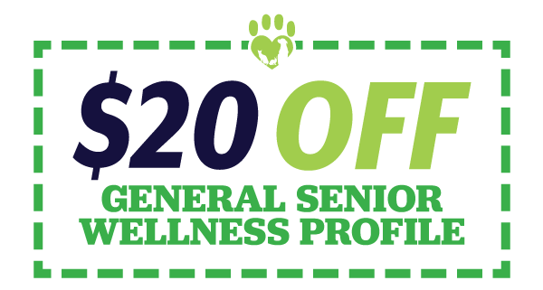 Wellness Coupon